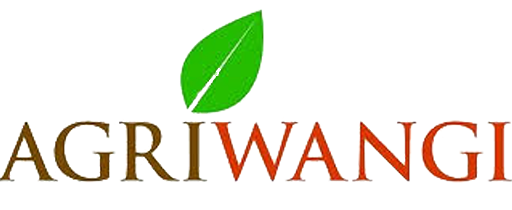 Agriwangi